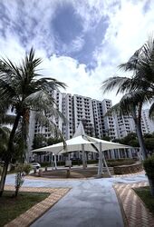 Blk 319B Anchorvale Grove (Sengkang), HDB 4 Rooms #515738411